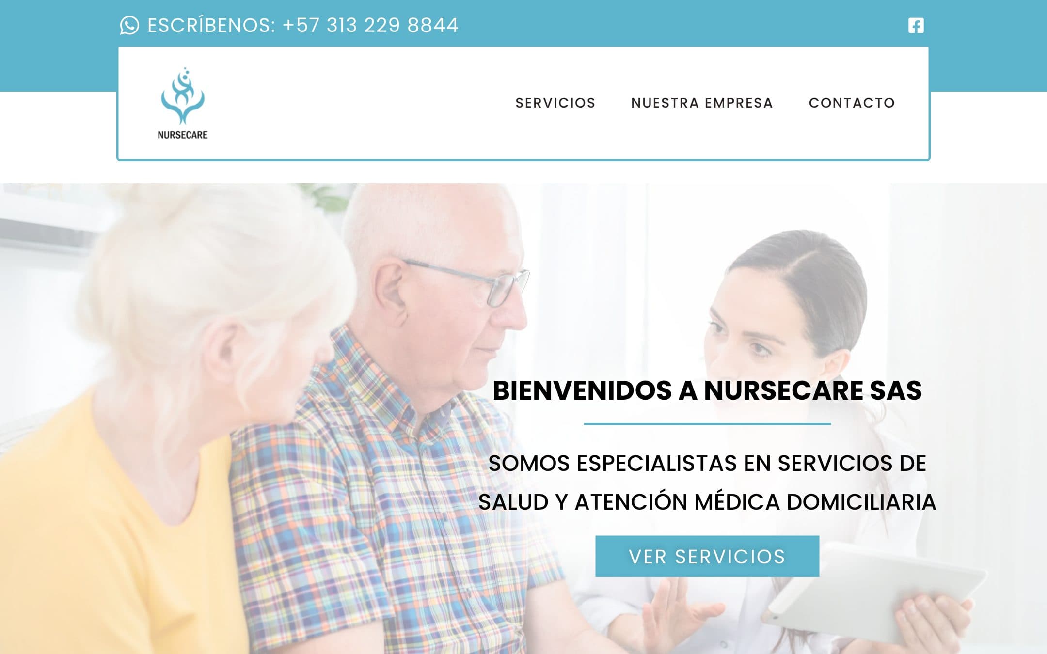 Screenshot of NurseCare IPS